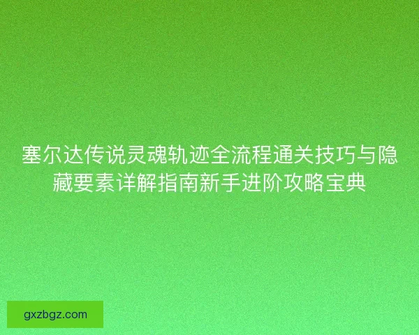 塞尔达传说灵魂轨迹全流程通关技巧与隐藏要素详解指南新手进阶攻略宝典